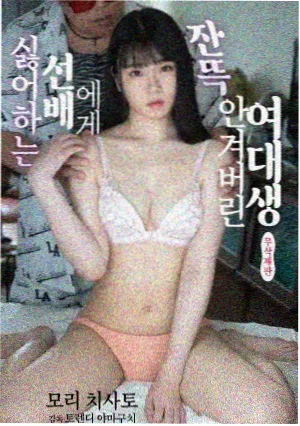 成全高清免费观看 大明王朝1566